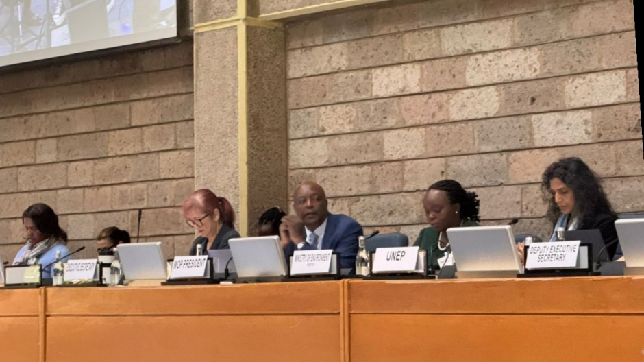 Participation de la Côte d'Ivoire à la MOP 37 sur la protection de l'ozone