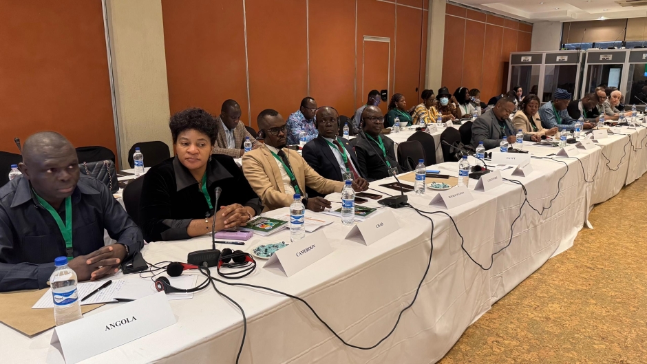 La Côte d'Ivoire contribue à la Position Africaine Commune sur le Climat