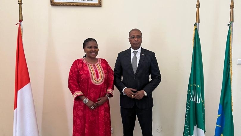 Rencontre diplomatique en préparation du Conseil Exécutif et de la Conférence de l'UA