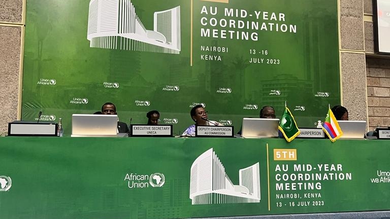 Le Ministre délégué Adom Kacou Houadja conduit une délégation ivoirienne à la 43ème Session du Conseil Exécutif de l'UA