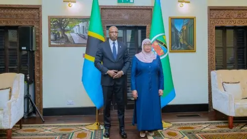 Présentation de Lettres de Créance de S.E.M. Ennio MAES à la Présidente de Tanzanie