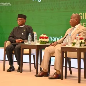 54967492284_cb21c29ab1_k