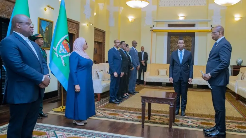 Présentation de Lettres de Créance de S.E.M. Ennio MAES à la Présidente de Tanzanie