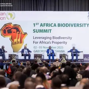 PHOTO-2025-11-07-19-36-56 2